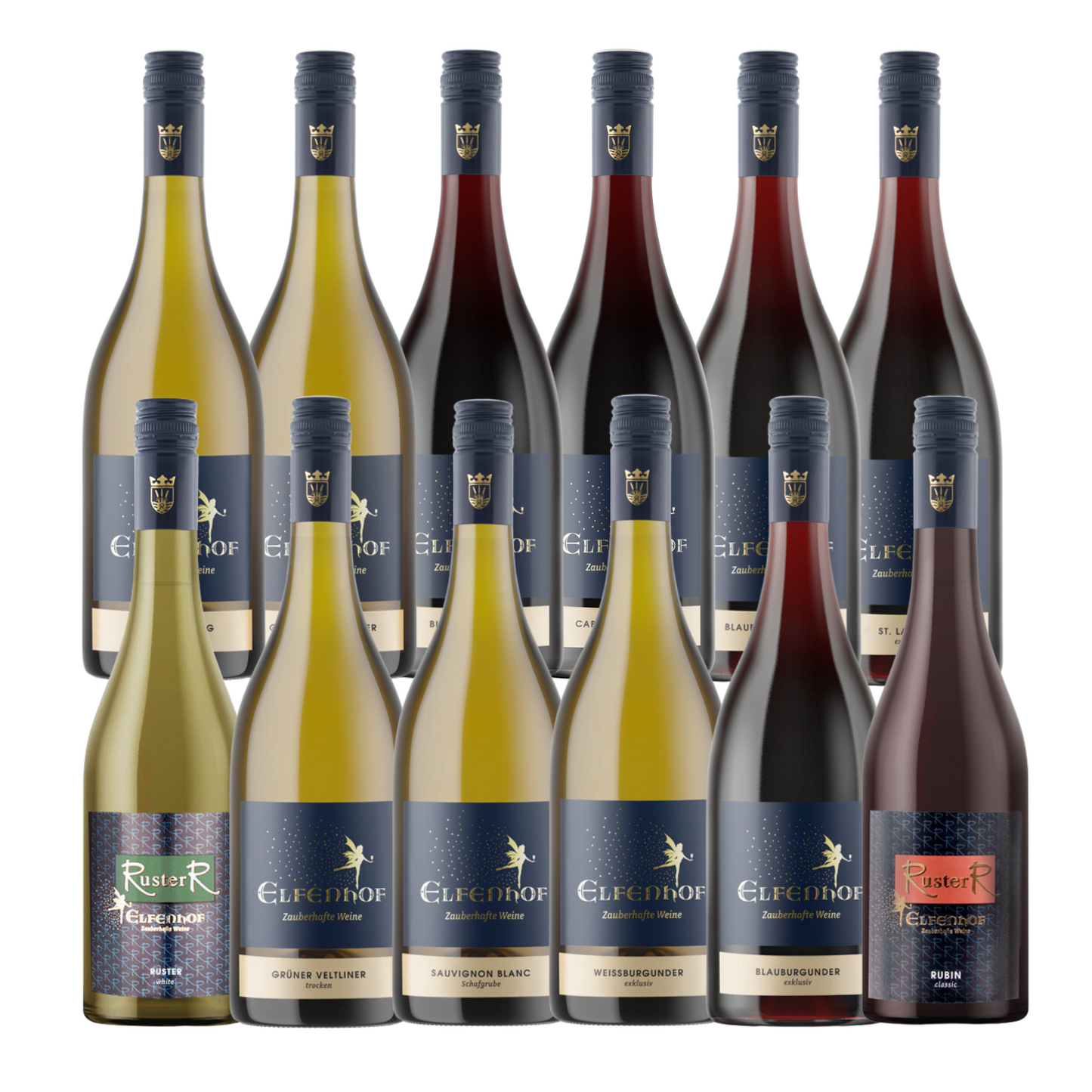 12 sample pack mixed dry