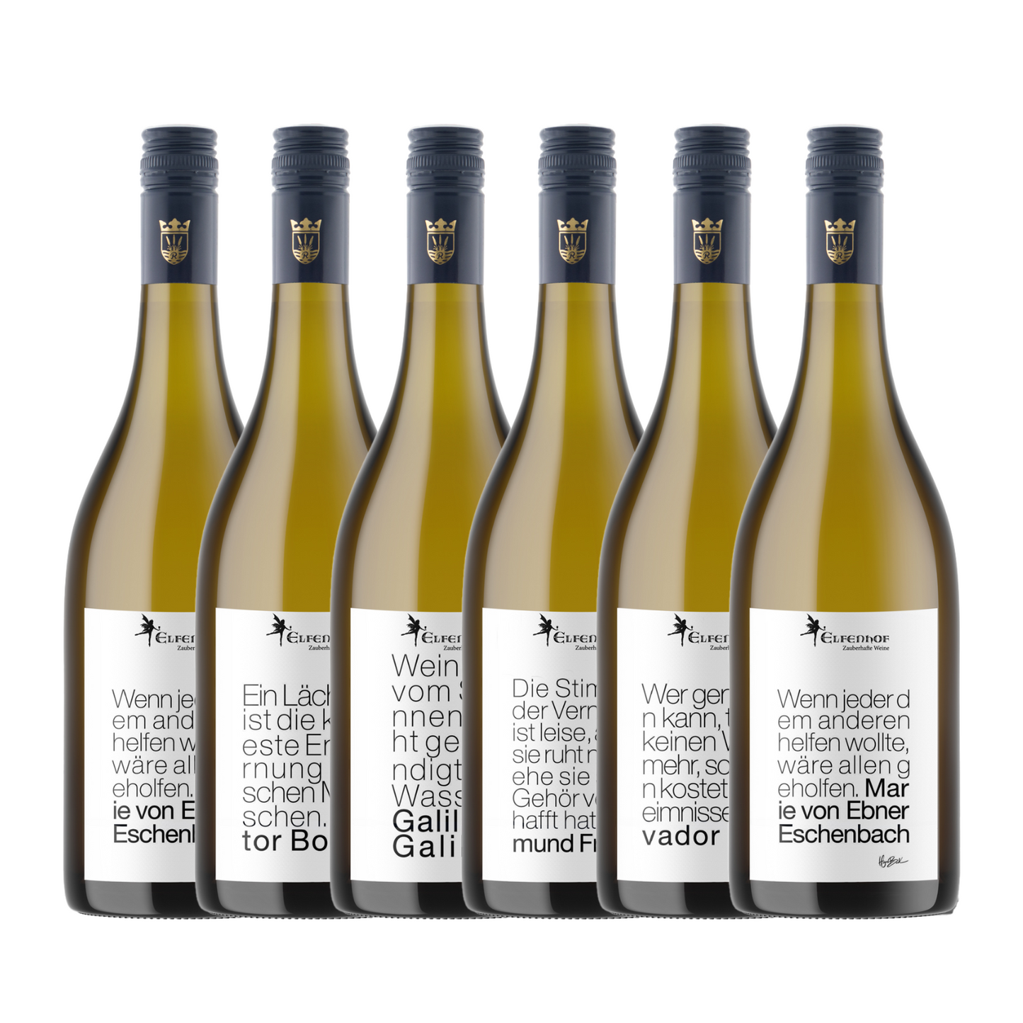 QUOTES Wine pack of 6